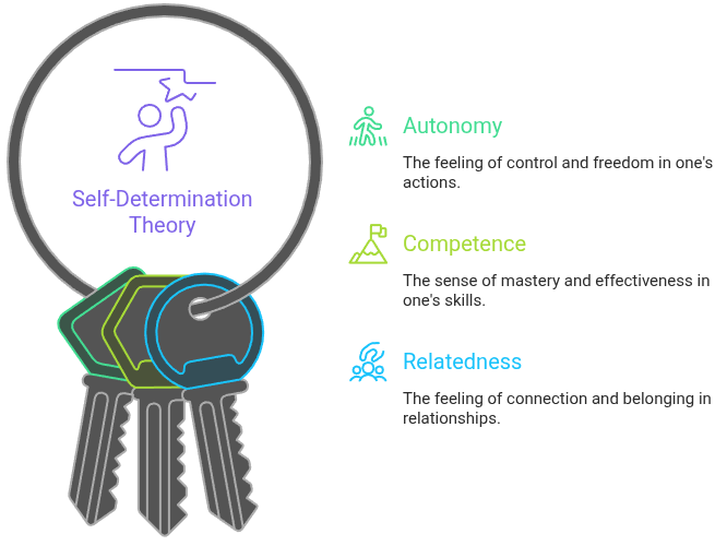 Self Determination Theory The Three Pillars of Intrinsic Motivation visual selection cropped
